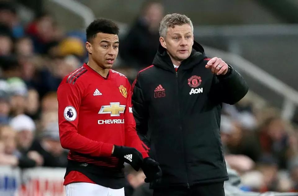 塔的职业生 塔的职业生